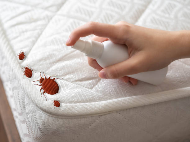 Best Mosquito Control Services  in Annapolis, MD