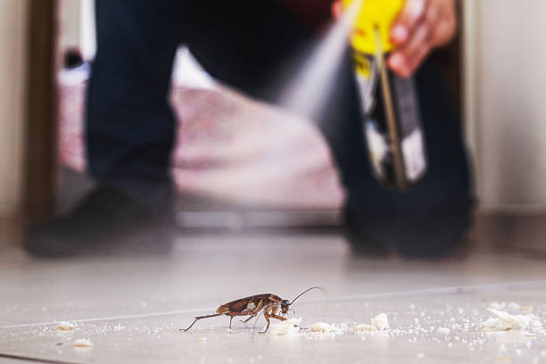 Pest Control for Restaurants in Annapolis, MD