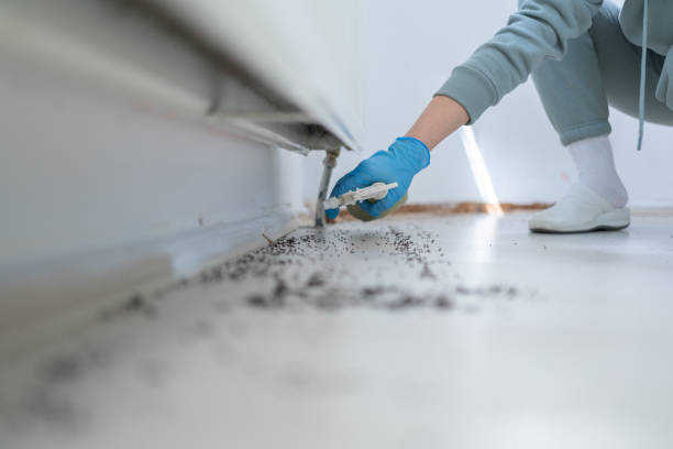 Trusted Annapolis, MD Pest Control Experts