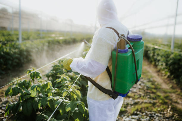 Best Cockroach Control Services  in Annapolis, MD